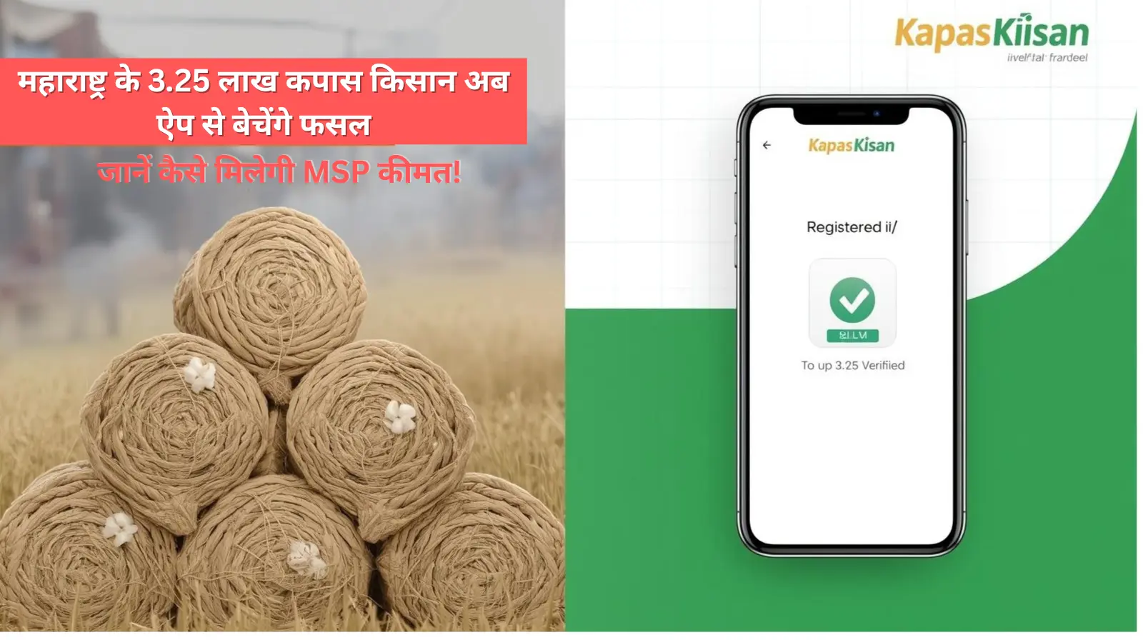 maharashtra kapas msp registration