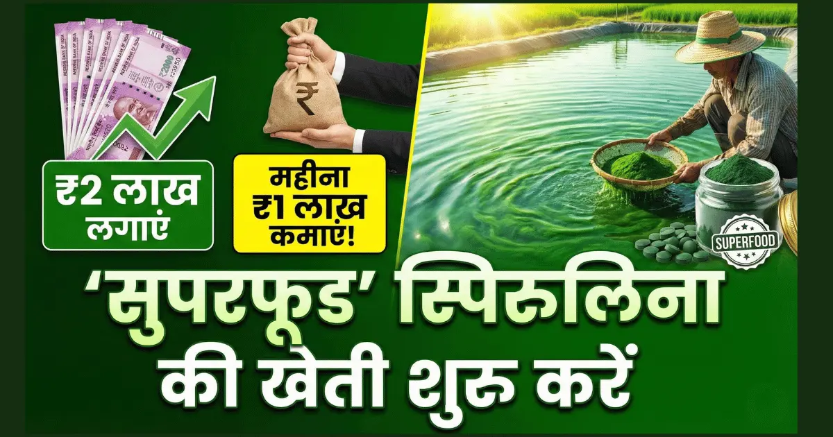 spirulina farming business plan hindi profit 2025